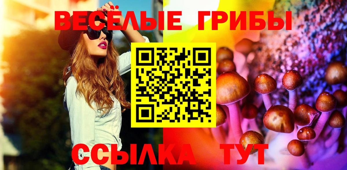 Галлюциногенные грибы мухоморы Калининград